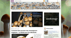 Desktop Screenshot of champignons-magiques.com